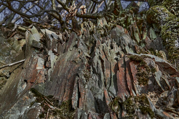 Schieferfelsen in der Eifel. Echter Schieferstein. Schiefer im Wald. Schieferstein Wand. Real Slate