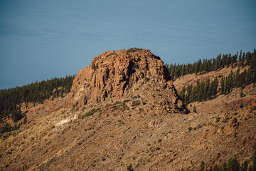 Panorama view on sea and оld mountain forest on the slope of the high mountains. Blue sky above pine trees. Beautiful day spent on a trekking, Tenerife, Canary Islands, Spain