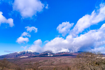 【冬山】冠雪の八ヶ岳 