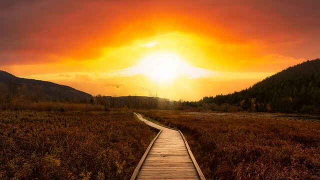 Cinemagraph Continuous Loop Animation. Wooden walking path on One Mile Lake with flowers. Picture taken in Pemberton, British Columbia, Canada. Dramatic Sunrise Sky Art Render.