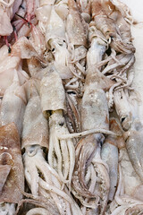 Piles of raw cuttlefish
