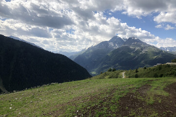Fototapeta premium landscape in summer