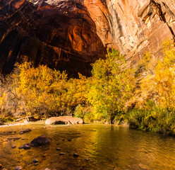 Cascades and Fall Color In The VIrgin River Narrows, Zion National Park, Utah, USA