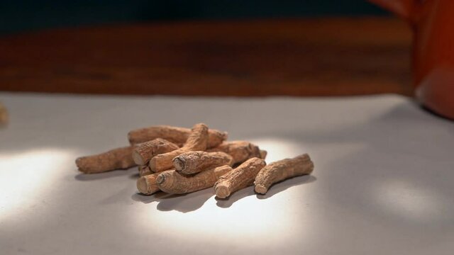 Closeup of hand holding Chinese medicine Codonopsis, Chinese herbal medicine on paper