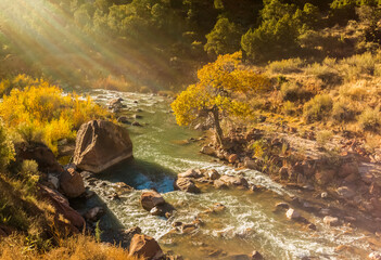 Cascades and Fall Color On The VIrgin River, Zion National Park, Utah, USA