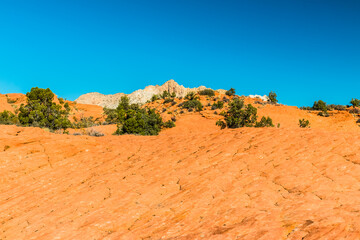 Petrified Sand Dunes With White Sandstone Mountains In The Distance, Snow Canyon State Park, Utah,USA