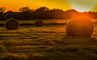 Hay Bales in The Field at Sunset, Washington County, Texas, USA