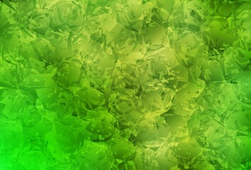 Light Green, Yellow vector doodle background with roses, flowers.