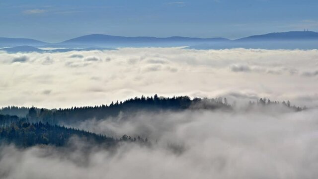 To view of clouds flowing against trees which peaks are above the cloud cover