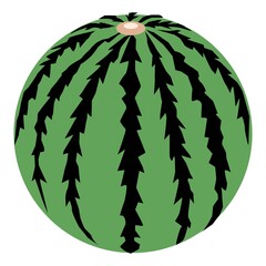 丸い1つのスイカ