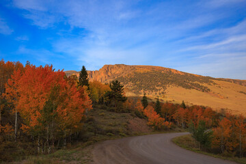 Bachelor Loop, Creede, Colorado in the Height of Autumn Color