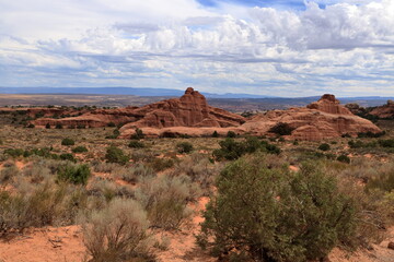 Desert beauty on the Landscape Arch trail, Arches National Park