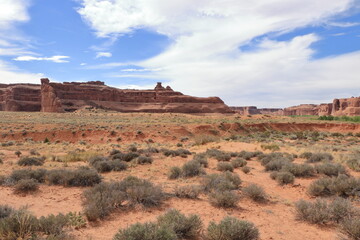 Fototapeta na wymiar Desert beauty, Arches National Park, Utah