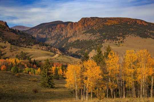 Fall Color on the Bachelor Loop in the Rio Grande National Forest