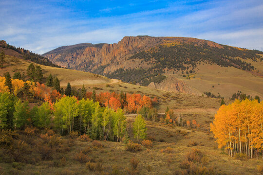 Colorful Aspen Groves Outside Creede Colorado