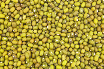Green bean or mung bean background