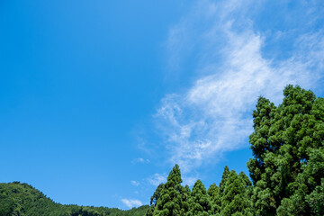 Obraz premium 風景素材 爽やかな初夏の青空