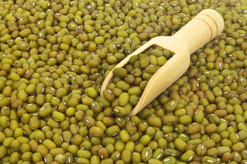 Green beans or mung beans with wooden scoop