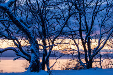 風景素材　琵琶湖の夜明け　冬