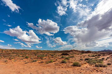 Desert landscape and blue sky with puffy clouds, Arizona