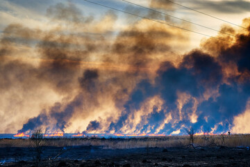 Wildfires. Burning estuary. Fire in the steppe.