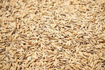 a photo of a pile of raw rice
