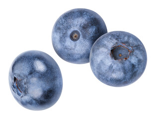 Organic fresh blueberry isolated on white