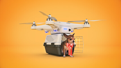 the container for transportation of animals with a small dog on a drone. 3d rendering	