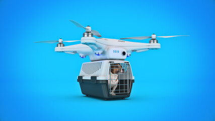 Fototapeta na wymiar the container for transportation of animals with a small dog on a drone. 3d rendering 