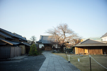 Kogenji, Buddhist temple in Bunkyō, Tokyo