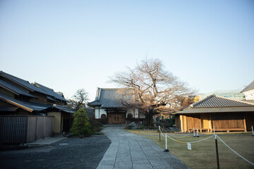 Kogenji, Buddhist temple in Bunkyō, Tokyo