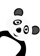 Panda Bär © Brand75