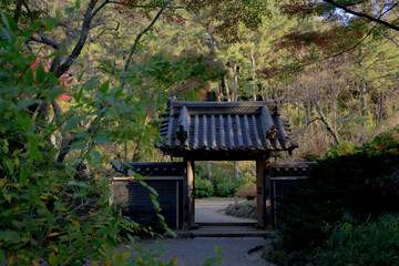 Autumn in Yokohama Sankeien Garden