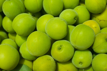 An image of Fruit of plum