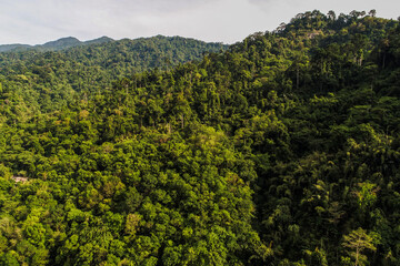 Fototapeta premium Aerial view tropical green mountain forest