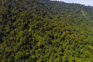 Aerial view tropical green mountain forest