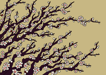 illustration of white plum blossoms