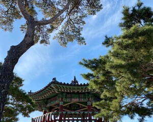 korea, tradition, pattern, korea house, roof tile, sky, pine, tree, 한국, 전통문양, 정자, 기와, 한옥, 하늘, 소나무 