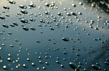 water drops on green metallic paint on the wet hood of a car. You can't buy very beautiful...