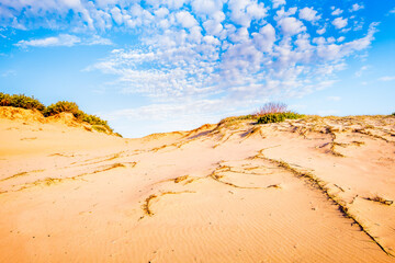 Sand Dunes along Mungo Brush Rd in Myall Lakes National Park