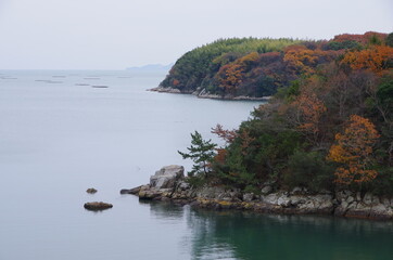 瀬戸内海の静かな入り江（岡山県瀬戸内市邑久町福谷）