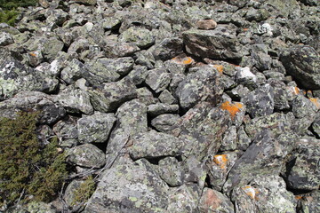 Stone run in the Kuektanar valley in Altai.