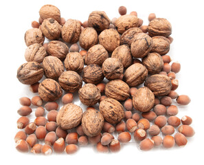 Walnuts and hazelnuts on a white
