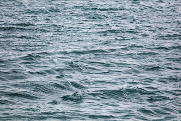 Obraz premium The smooth surface of the sea.