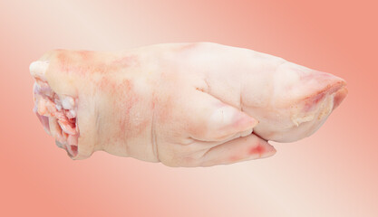Fototapeta premium Pork hoof feet isolated on pink background.