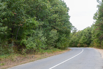Small road in the forest