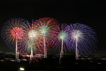 養老公園140周年記念花火"希望の光"