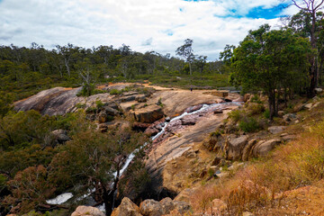 Fototapeta na wymiar ジョンフォレスト国立公園（西オーストラリア州）