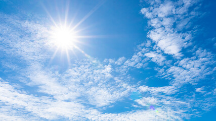 sunny sky in winter season. - obrazy, fototapety, plakaty