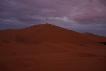 Hiking and camel rifing in the highest dunes of Erg Chebbi, Sahara desert, Morocco